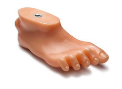 Artificial foot model